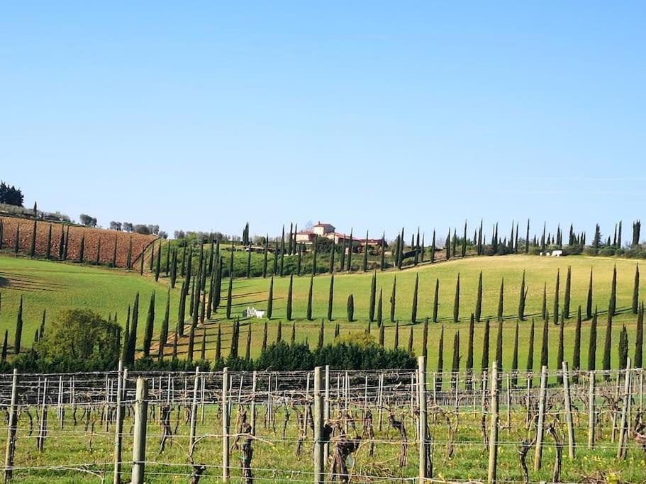 Castello Di Fulignano Ottone Superior Apartment San Gimignano Exteriör bild